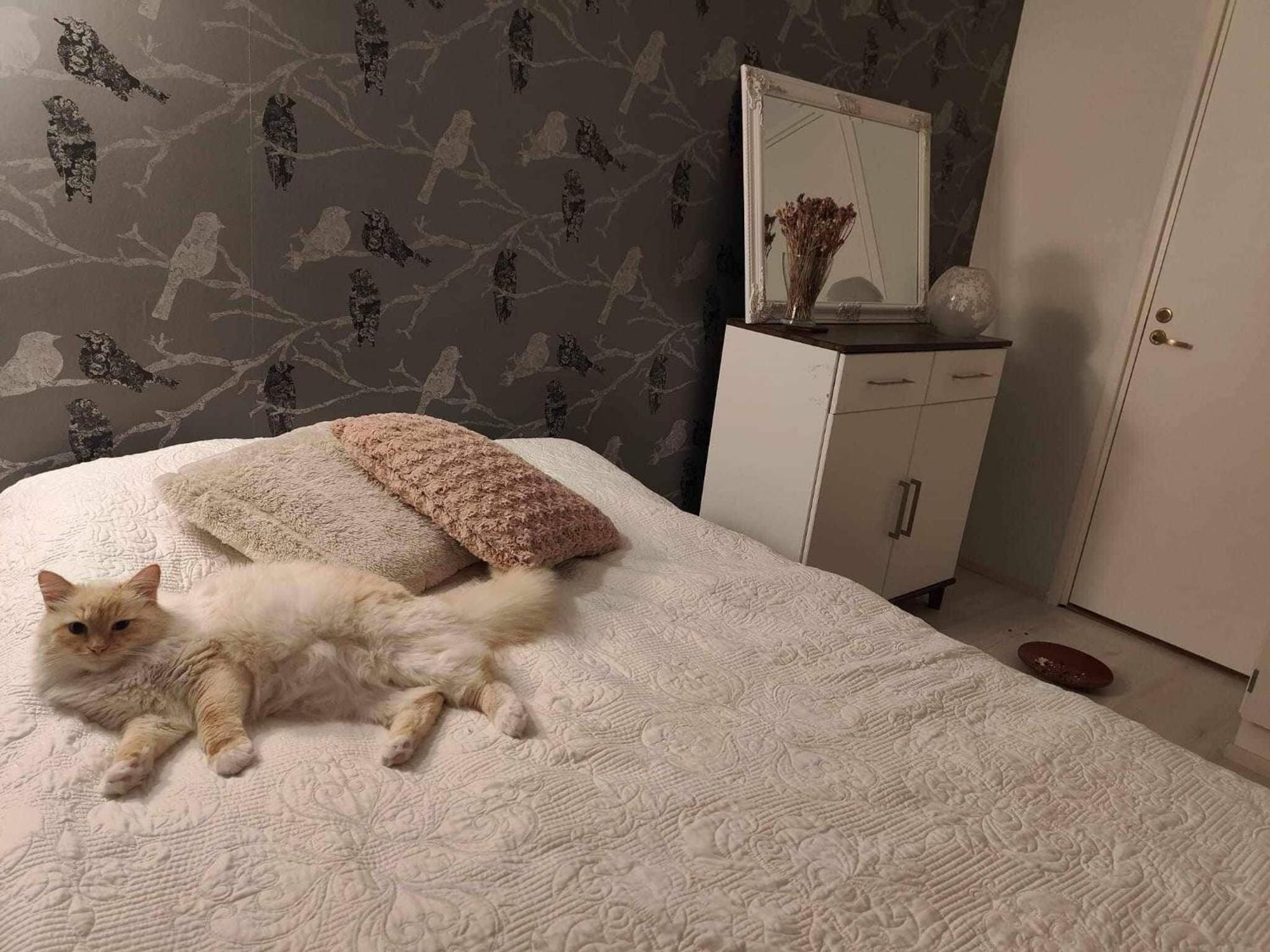 Cozy Forest Retreat In Kuopio - Perfect For Families Work Trips エクステリア 写真